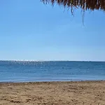 Cozy 1Br In Princess Resort With Pools & Private Beach